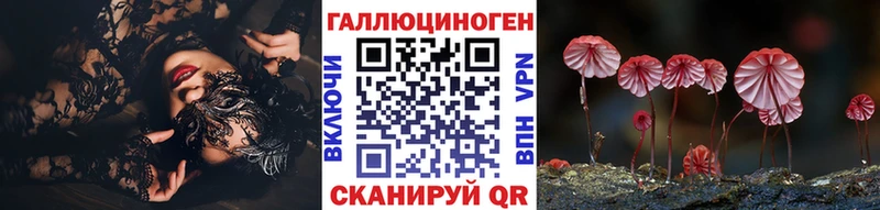 Псилоцибиновые грибы Psilocybe  Оренбург 