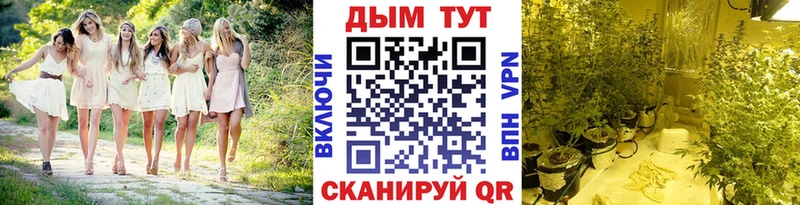 Конопля тримм  закладка  Оренбург 
